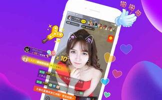 猪哥爆料小楠视频播放,小楠视频播放背后的惊人真相